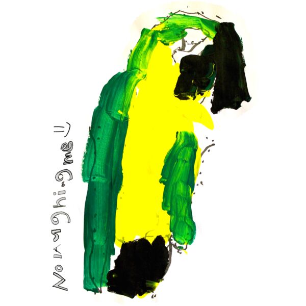 Parrot Thumbnail